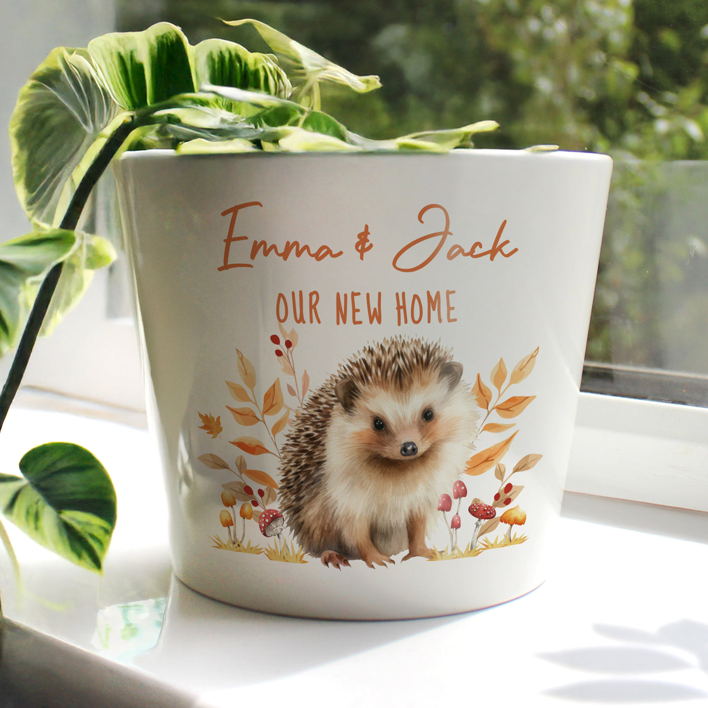 Personalised Hedgehog Large Plant Pot - Truly Yours