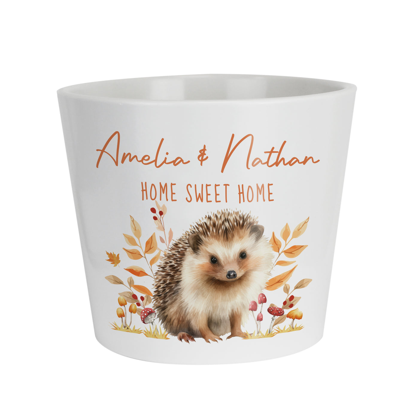 Personalised Hedgehog Large Plant Pot - Truly Yours