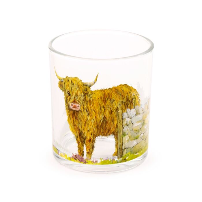 Glass Tumbler Set of 2 250ml - Jan Pashley Highland Coo Cow Tumblers
