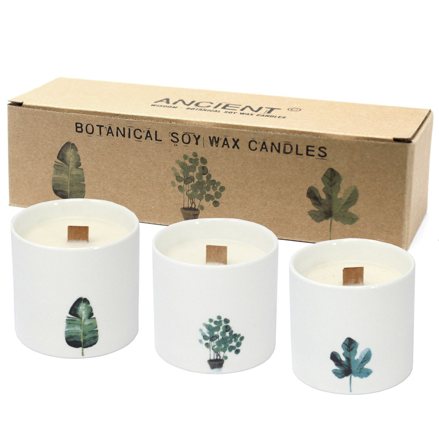 Large Botanical Candles - Marsh Viola - Truly Yours
