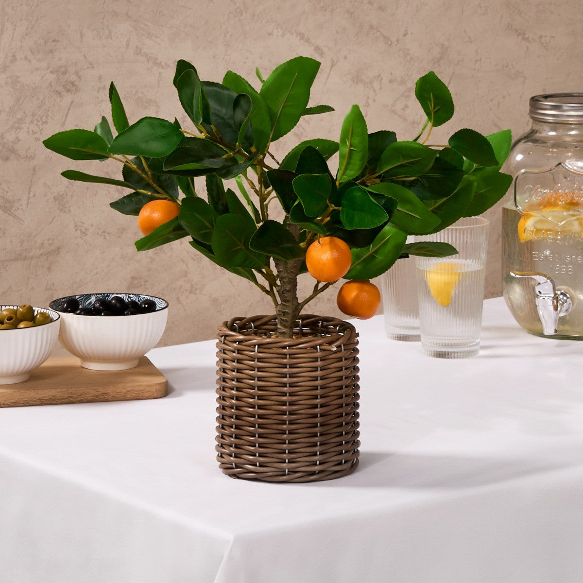 Orange Tree in Basket - Green/Orange Plant