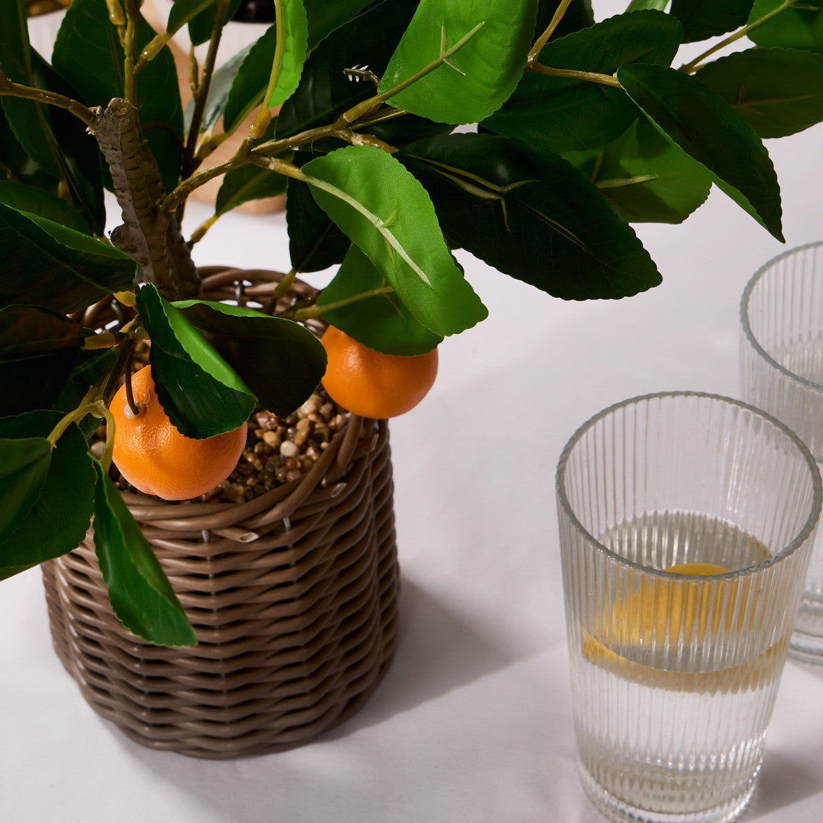 Orange Tree in Basket - Green/Orange Plant