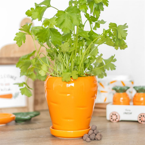 Carrot Shaped Plant Pot with Parsley Seed Balls Plant Pots