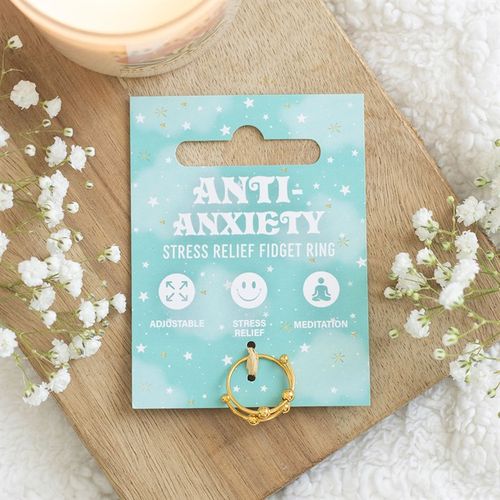 Rain or Shine Anti-Anxiety Fidget Ring - Truly Yours
