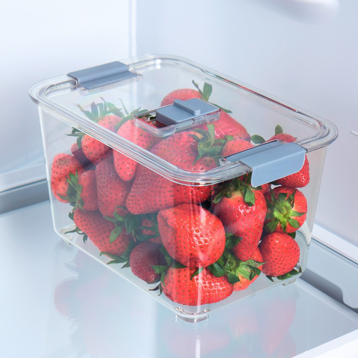 Fridge Container With Removable Basket