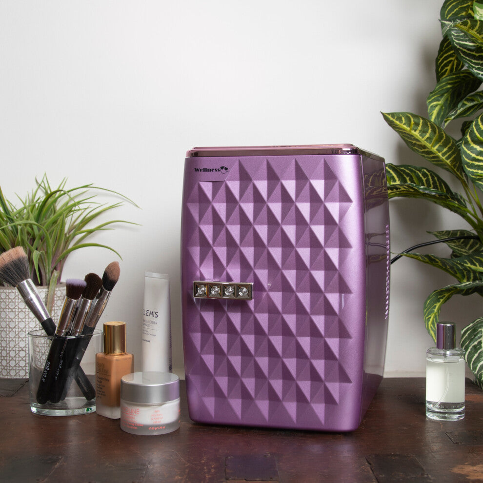 WELLNESS 4L BEAUTY & SKINCARE COOLER