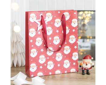 Jolly Santa Christmas Gift Bag