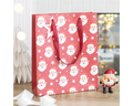 Jolly Santa Christmas Gift Bag