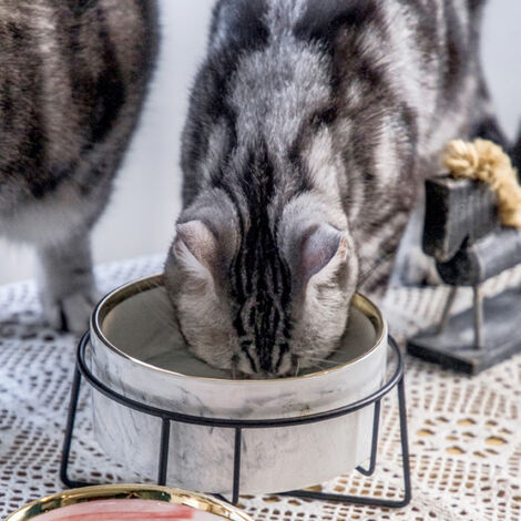 Marble-look ceramic bowl for cats and dogs with iron stand, anti-spill. - Truly Yours