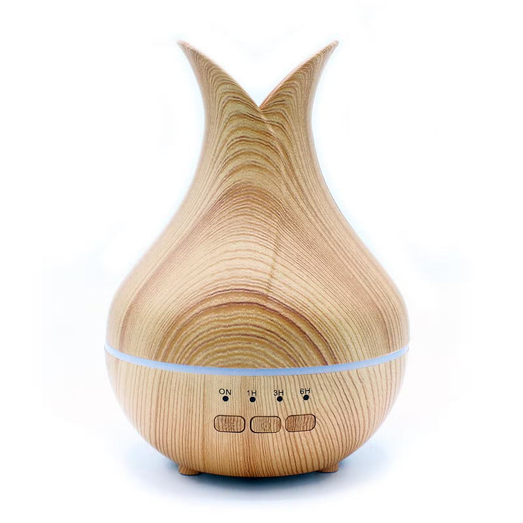 Palermo Atomiser Usb Colour Changing with Timer Atomiser