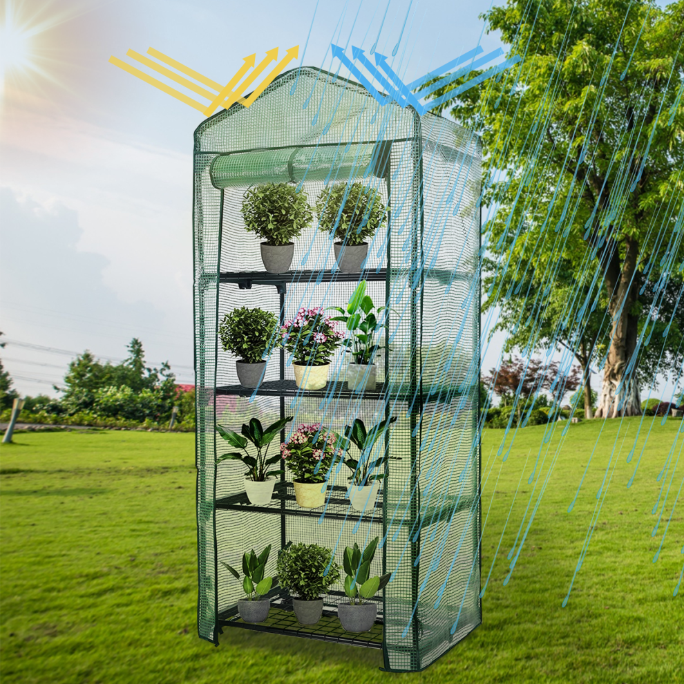 Weatherproof 4-Tier Greenhouse with Gabled Roof - Truly Yours