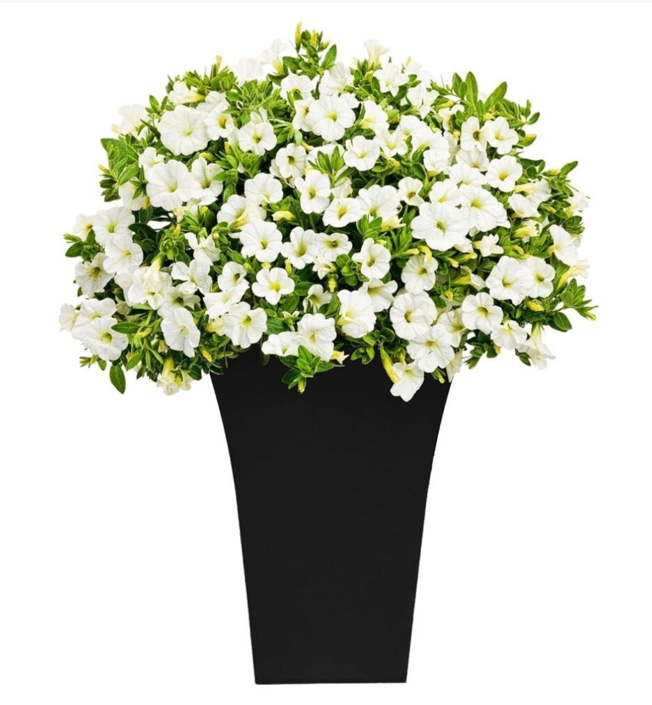 2 x Black Tall Large Plastic Contemporary Planters - Truly Yours