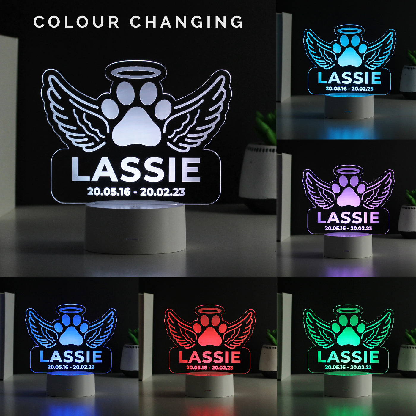 Personalised Pet Memorial Colour Changing LED Light - Truly Yours