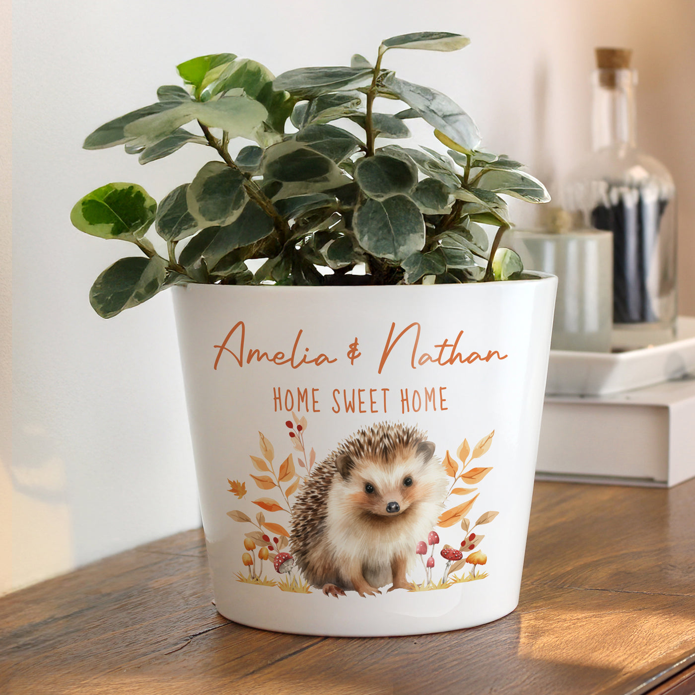 Personalised Hedgehog Large Plant Pot - Truly Yours