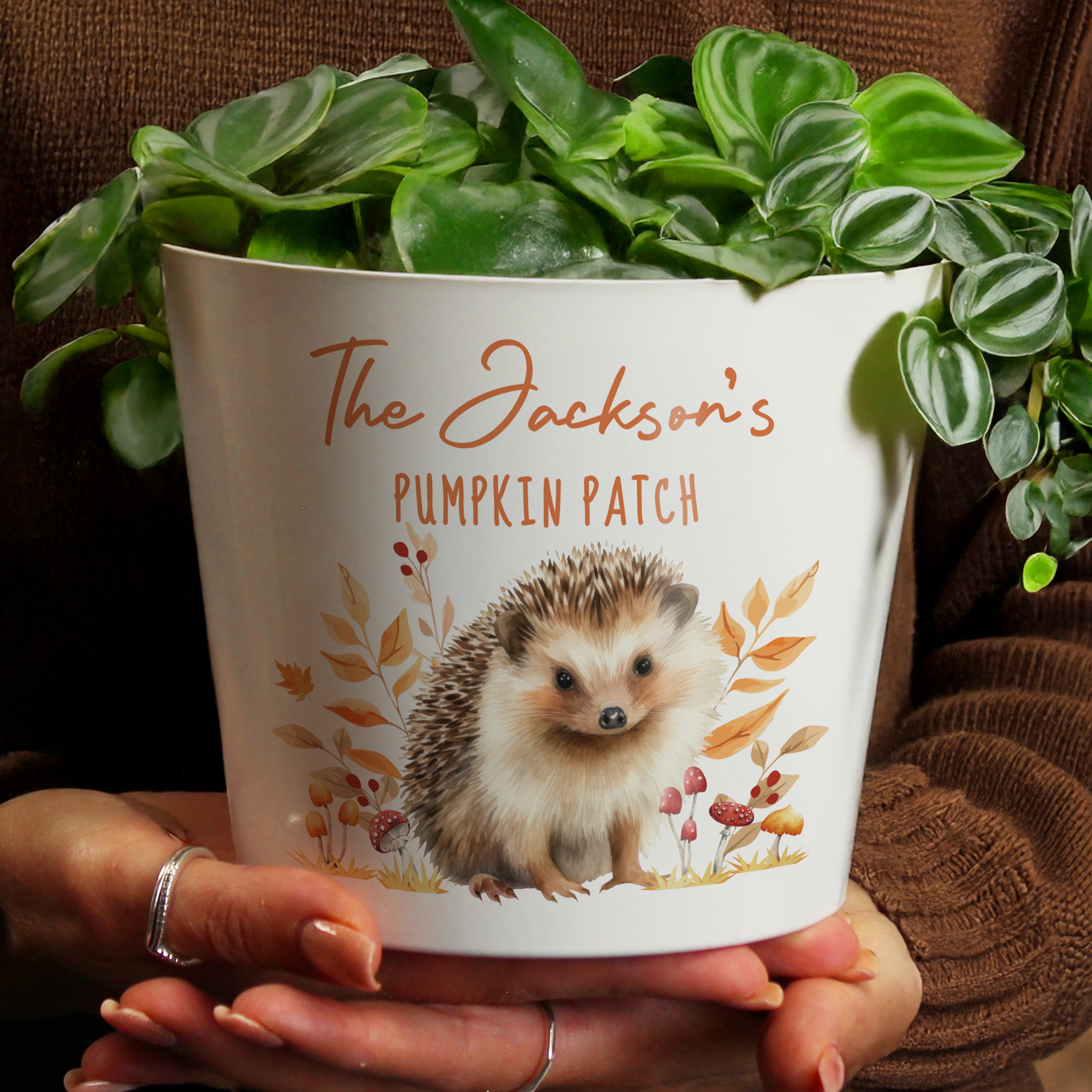 Personalised Hedgehog Large Plant Pot - Truly Yours