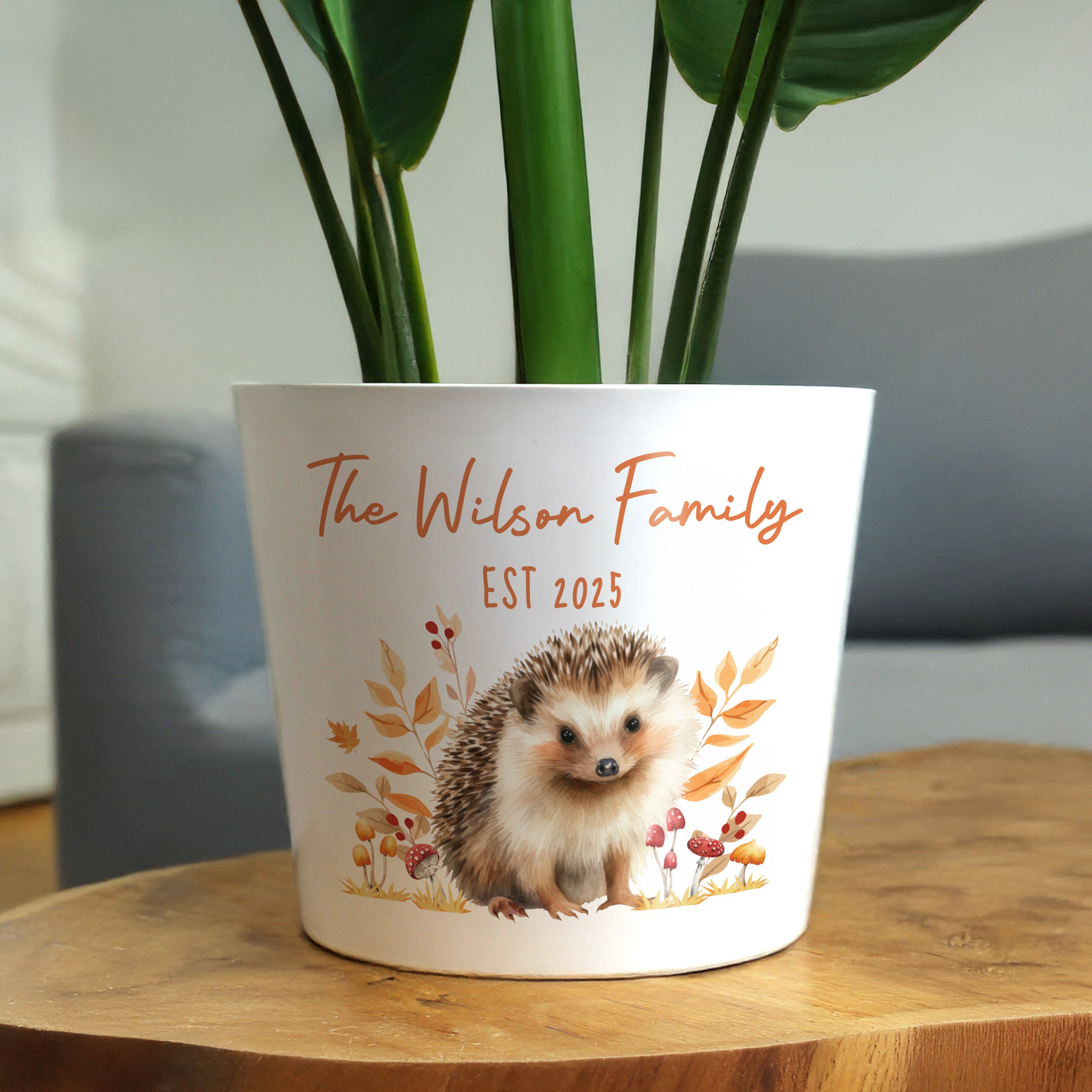 Personalised Hedgehog Large Plant Pot - Truly Yours