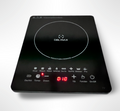 DBL MAX 2200W Smart Portable Induction Hob