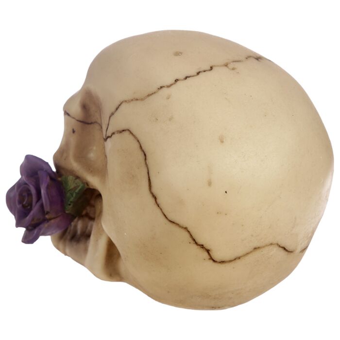 Gothic Skull Decoration with Purple Roses Ornament