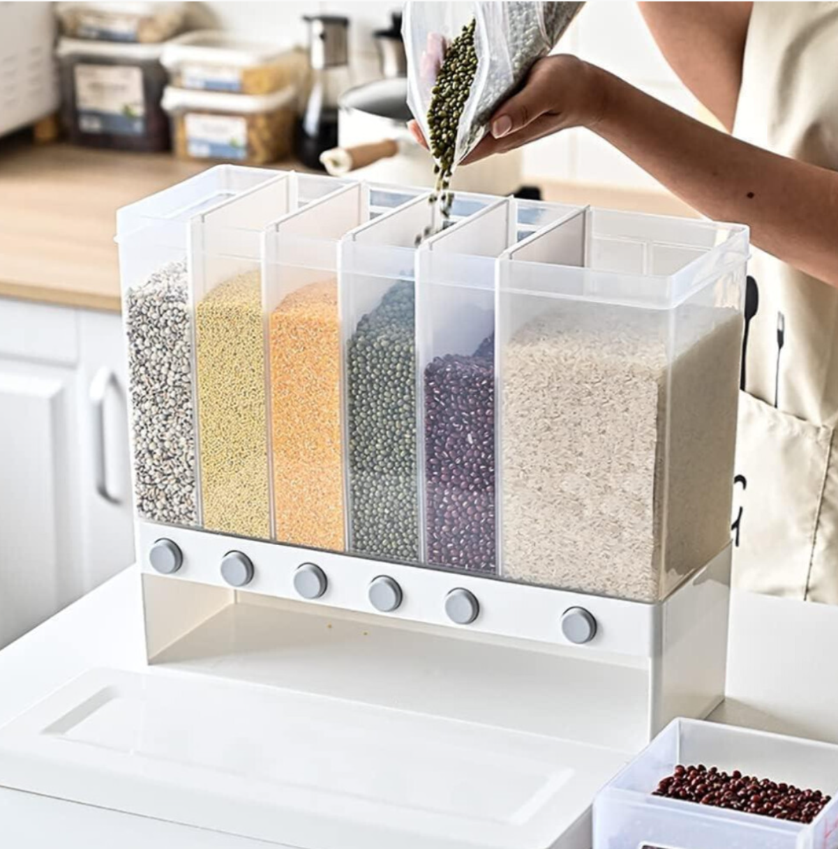 6-Compartment Wall Mounted food Dispenser
