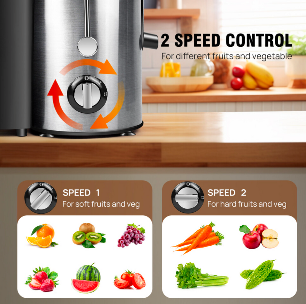 1000W Electric Juicer Machine