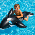 Whale Rider swimming orca with handles