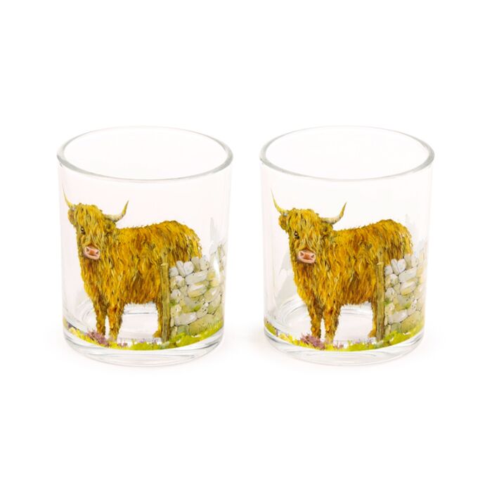 Glass Tumbler Set of 2 250ml - Jan Pashley Highland Coo Cow Tumblers