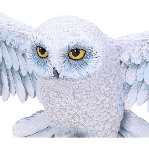 Harry Potter Hedwig Owl Wall Plaque 45cm - Truly Yours