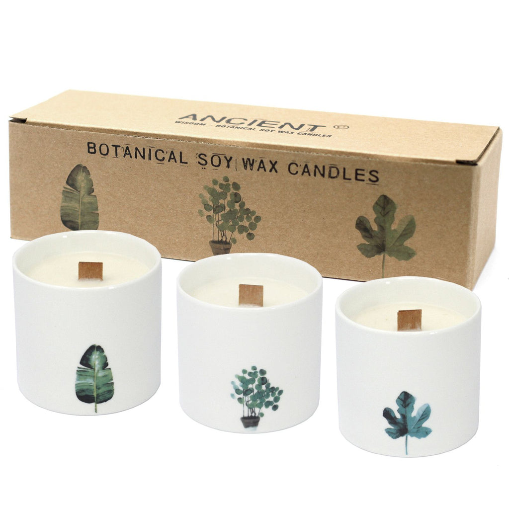 Large Botanical Candles - Marsh Viola - Truly Yours