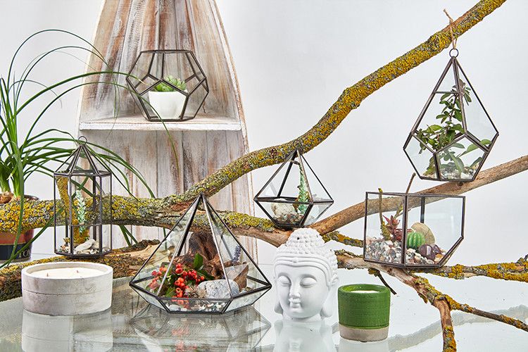 Glass Terrarium - Large Pentagon - Truly Yours