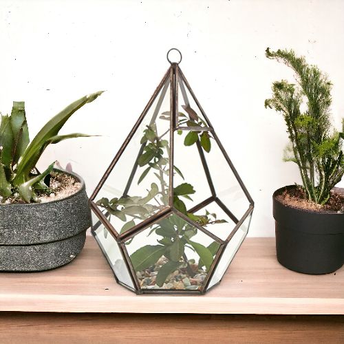 Glass Terrarium - Large Pentagon - Truly Yours