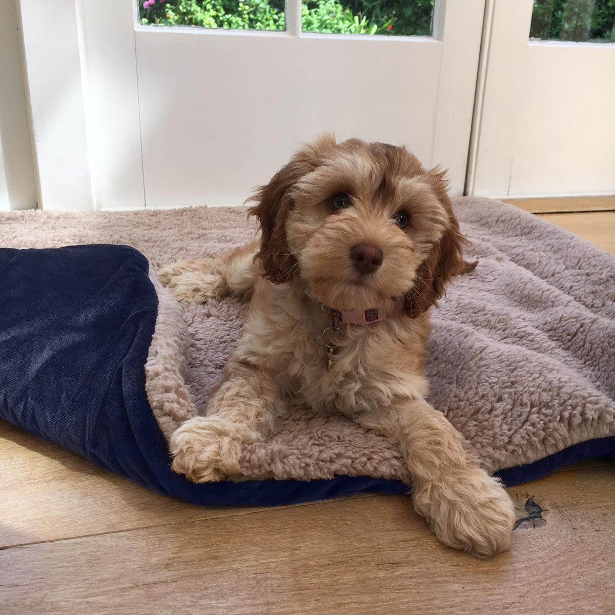 Sherpa Soft Quilted Pet Blanket - Navy