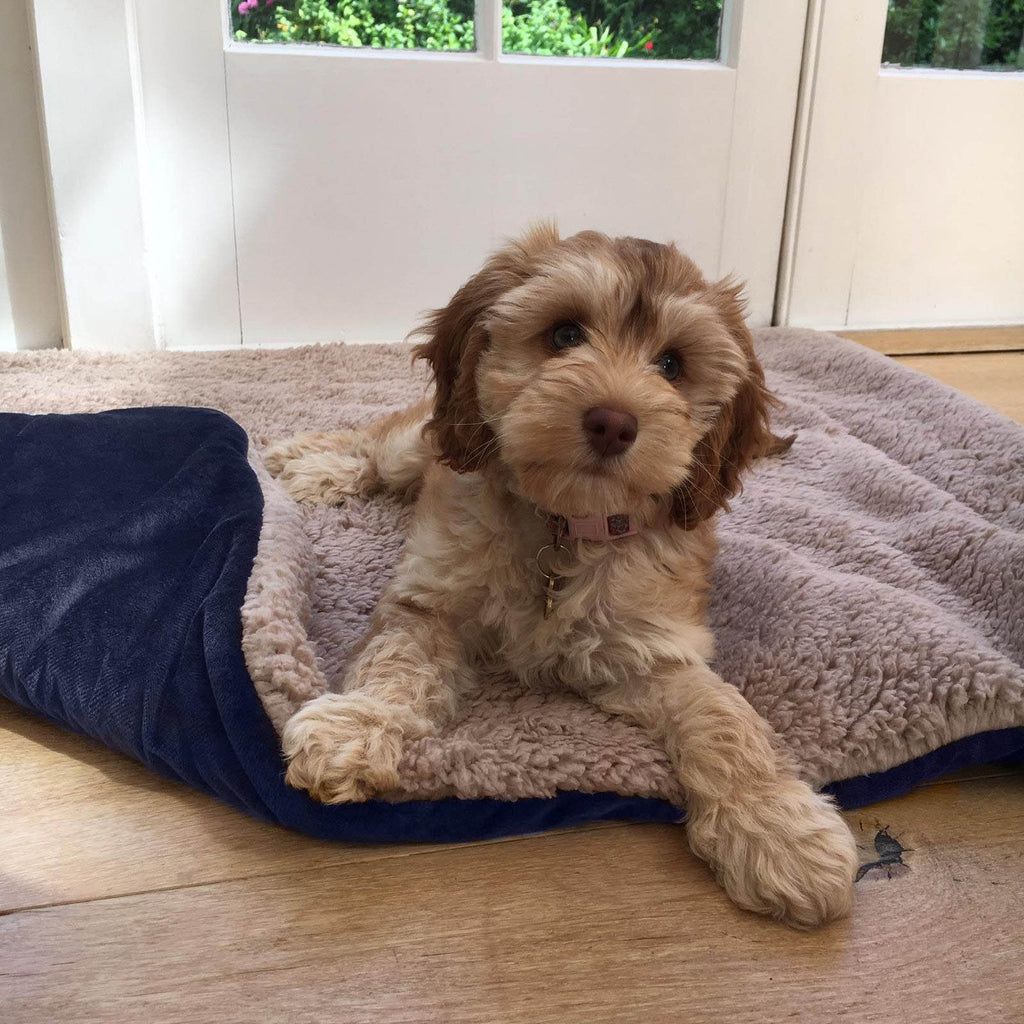 Sherpa Soft Quilted Pet Blanket - Navy - Truly Yours