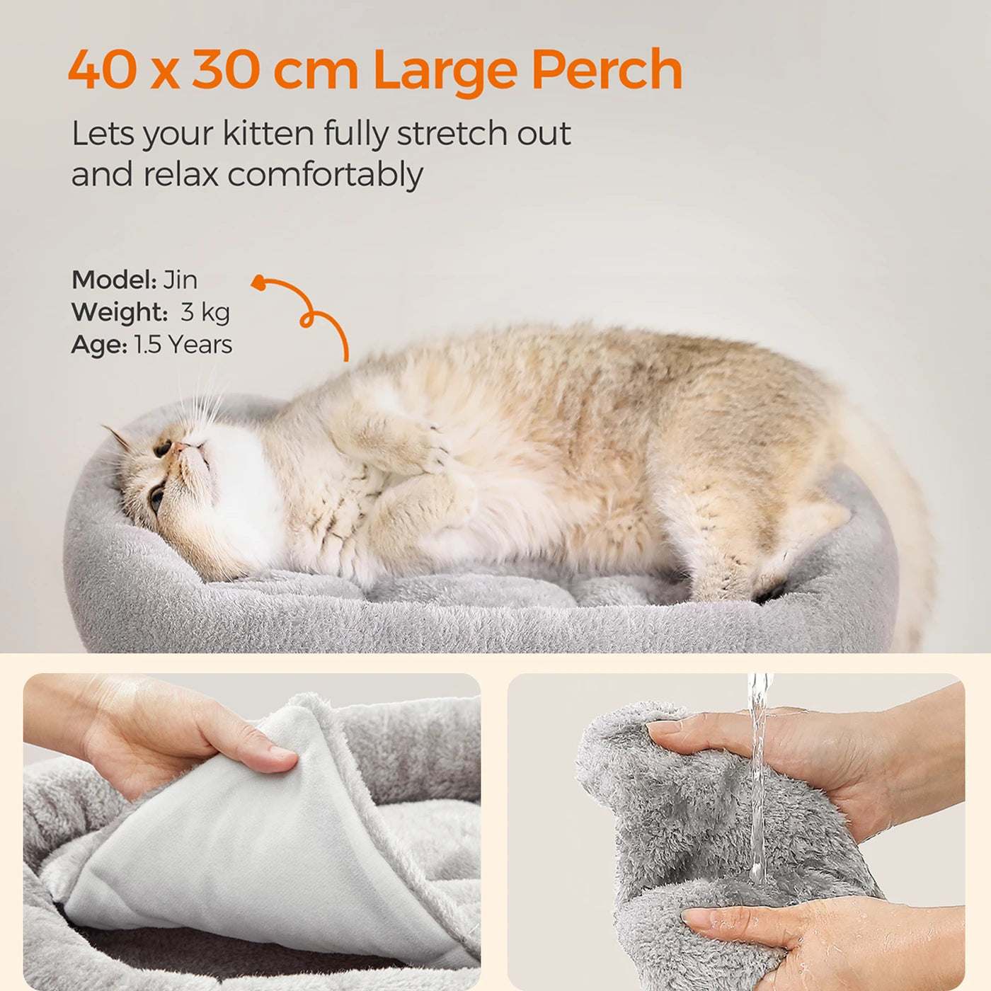 Feandrea Cat Tree, Condo for Kittens up to 3kg, 2 Cat Caves