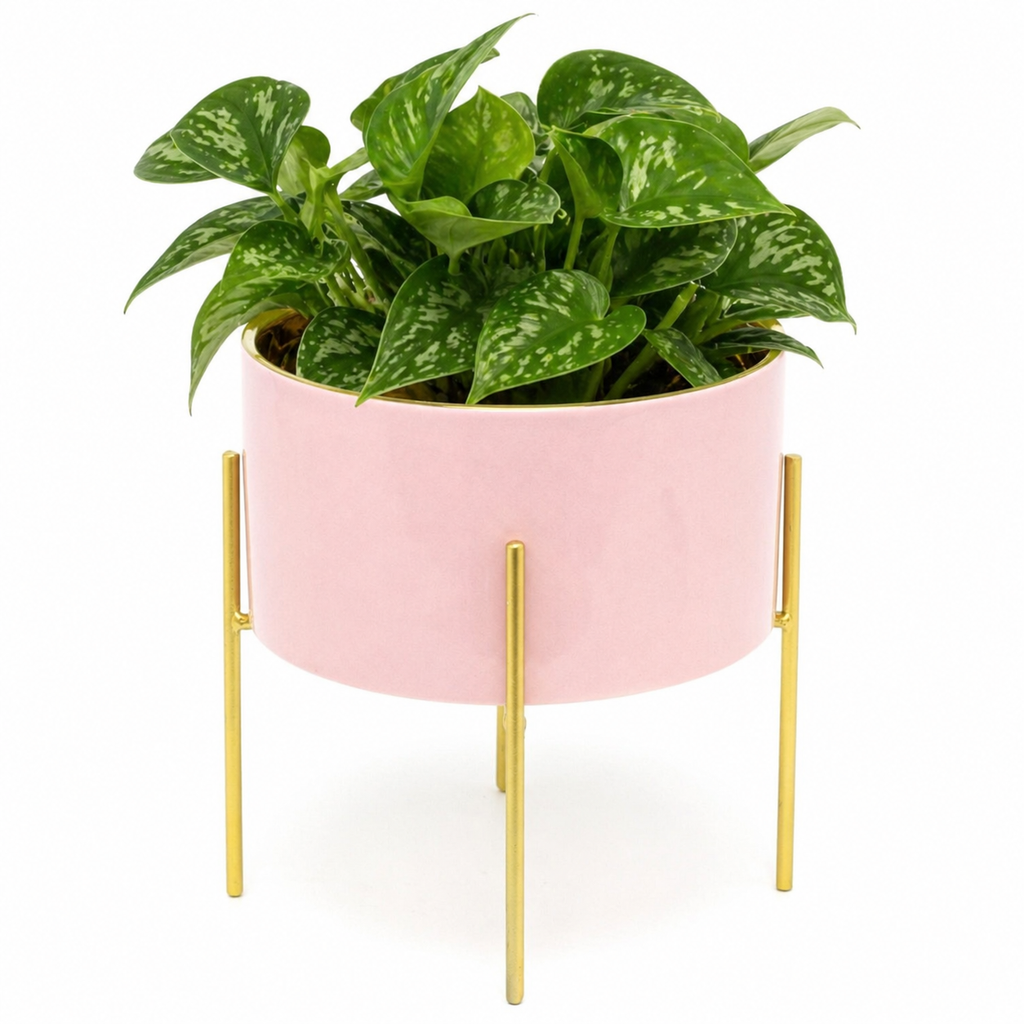 Pink And Gold Ceramic Cache Plant Pot Planter With Stand - Truly Yours