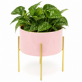 Pink And Gold Ceramic Cache Plant Pot Planter With Stand - Truly Yours
