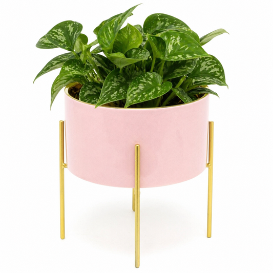Pink And Gold Ceramic Cache Plant Pot Planter With Stand - Truly Yours