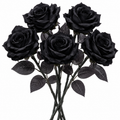 Black Gothic Rose Bouquet – 5 Pieces