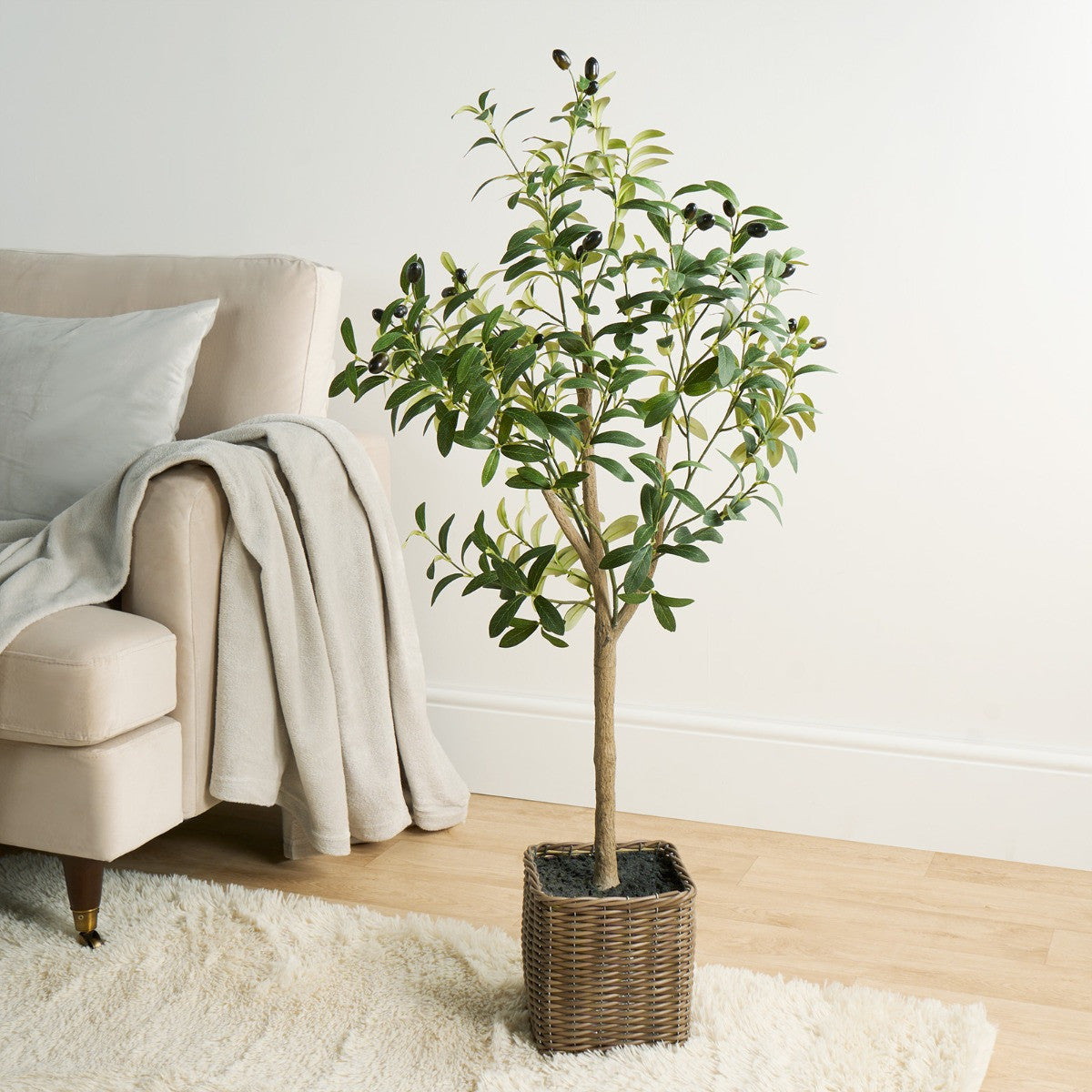 Olive Tree in Basket, Green - 110cm