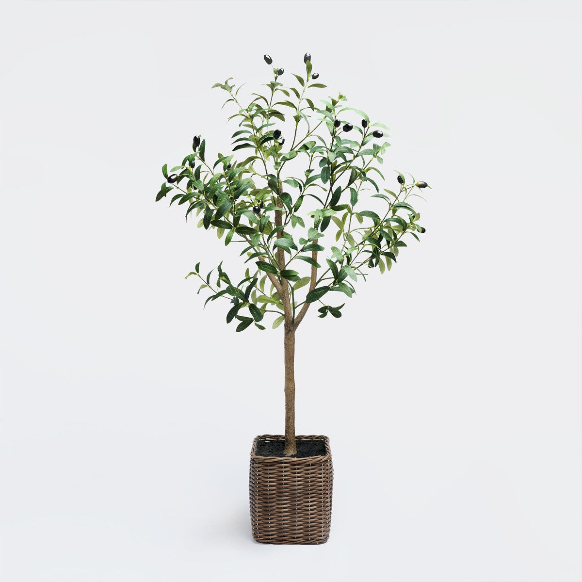 Olive Tree in Basket, Green - 110cm