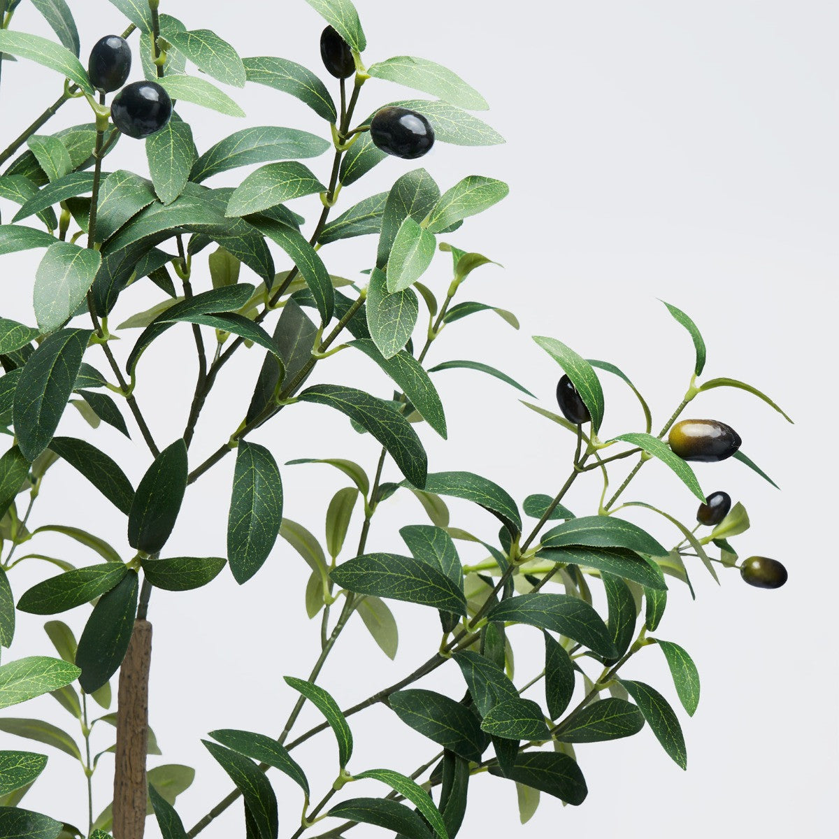 Olive Tree in Basket, Green - 110cm