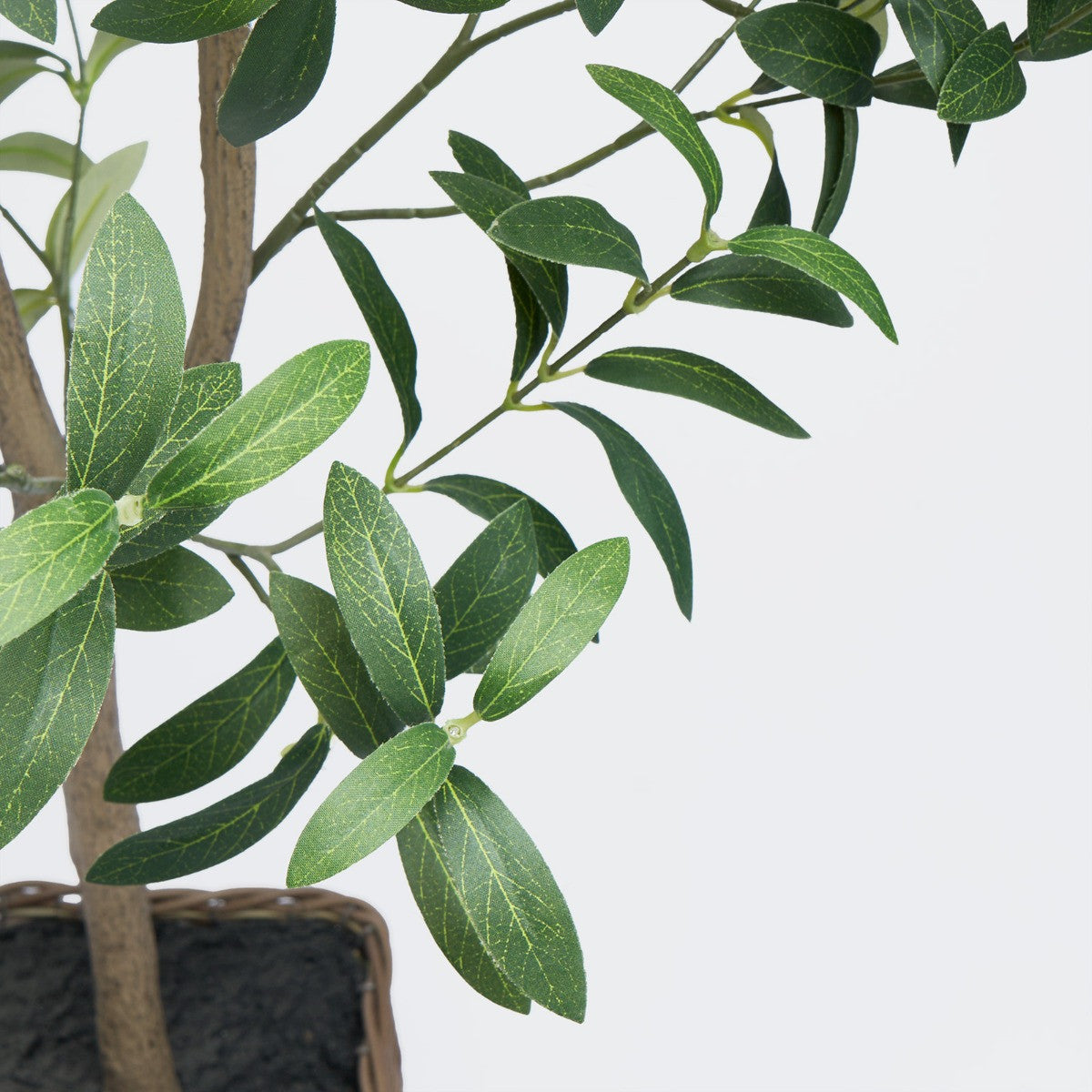 Olive Tree in Basket, Green - 110cm