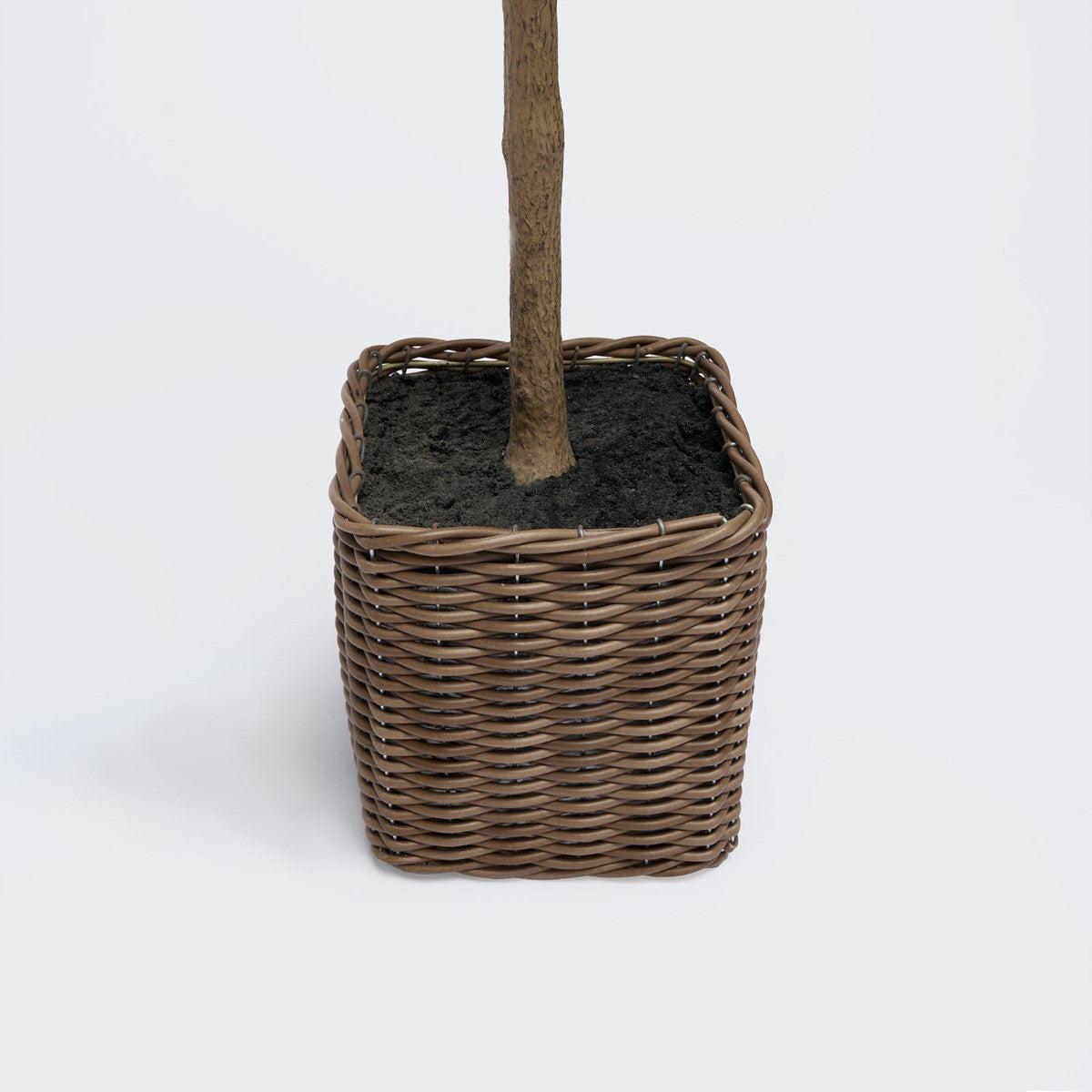 Olive Tree in Basket, Green - 110cm