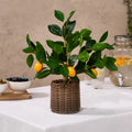 Lemon Tree in Basket - Green/Yellow - Truly Yours