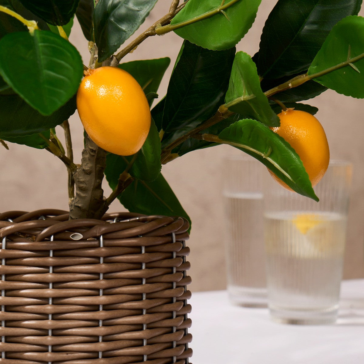 Lemon Tree in Basket - Green/Yellow - Truly Yours