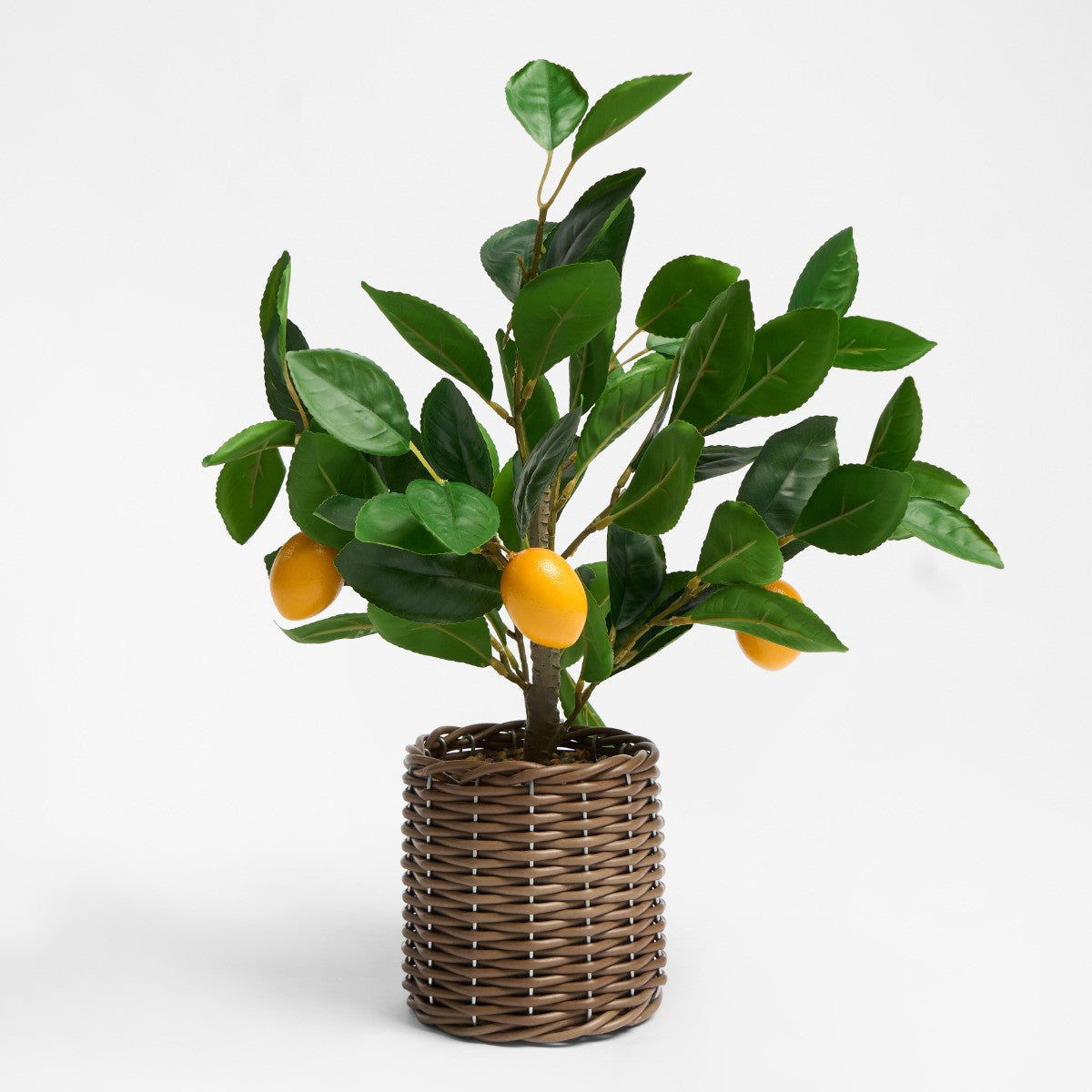 Lemon Tree in Basket - Green/Yellow - Truly Yours