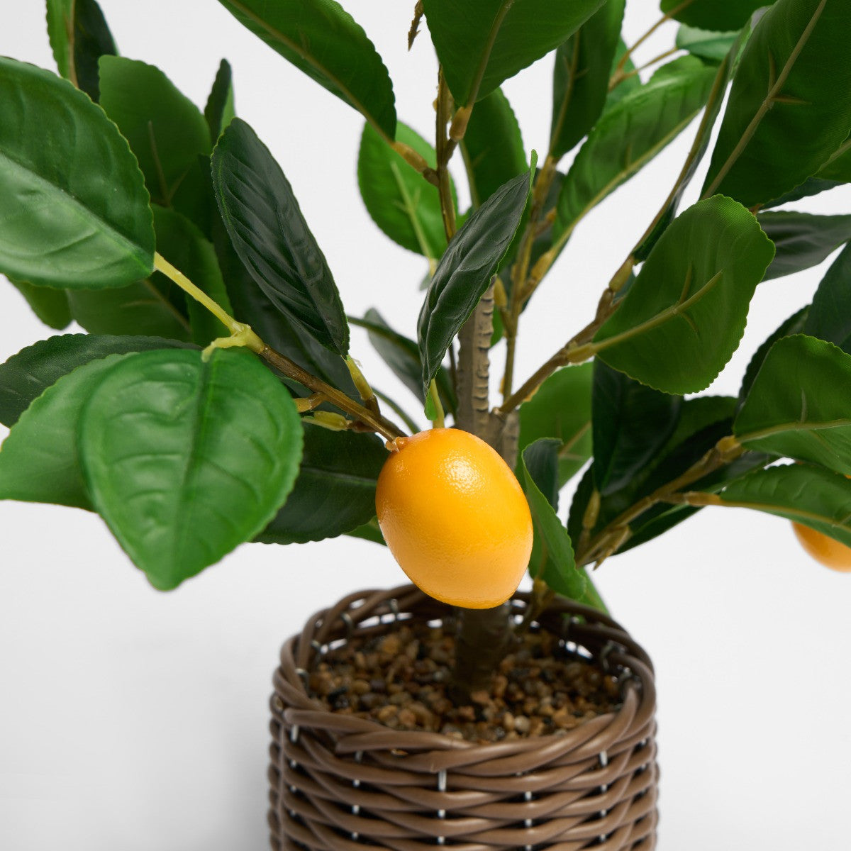 Lemon Tree in Basket - Green/Yellow - Truly Yours