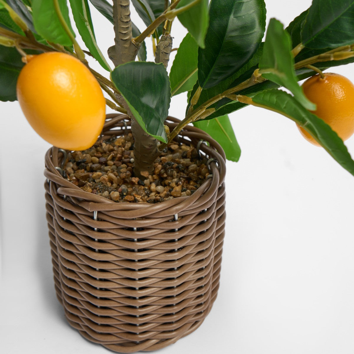 Lemon Tree in Basket - Green/Yellow - Truly Yours