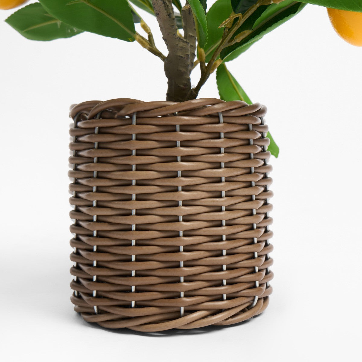 Lemon Tree in Basket - Green/Yellow - Truly Yours