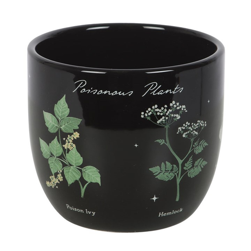 Poisonous Plants Plant Pot Plant Pots