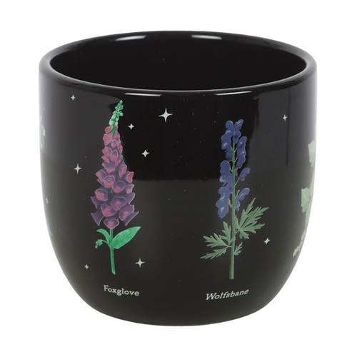 Poisonous Plants Plant Pot Plant Pots